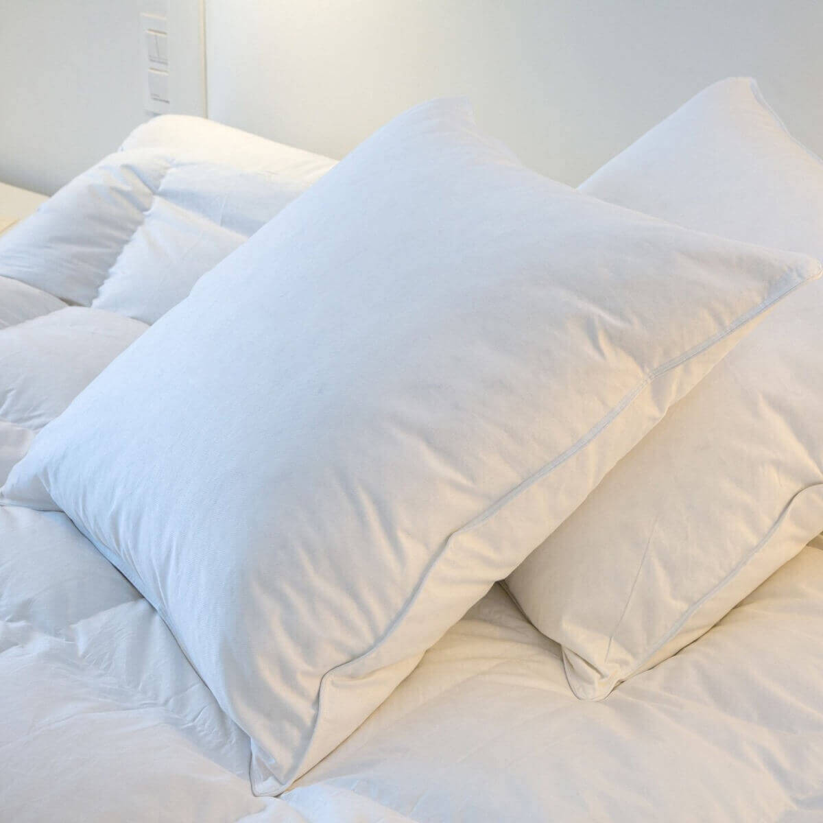 Oreiller plat naturel