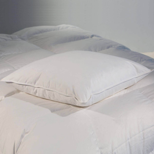 Oreiller plat naturel
