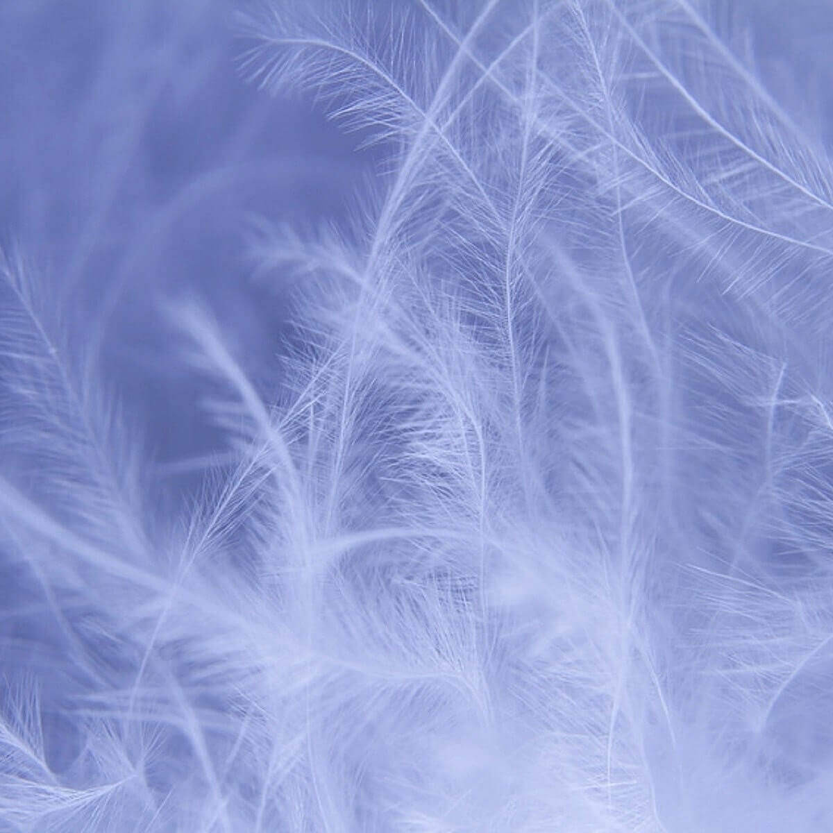 Flocon de duvet - Zoom