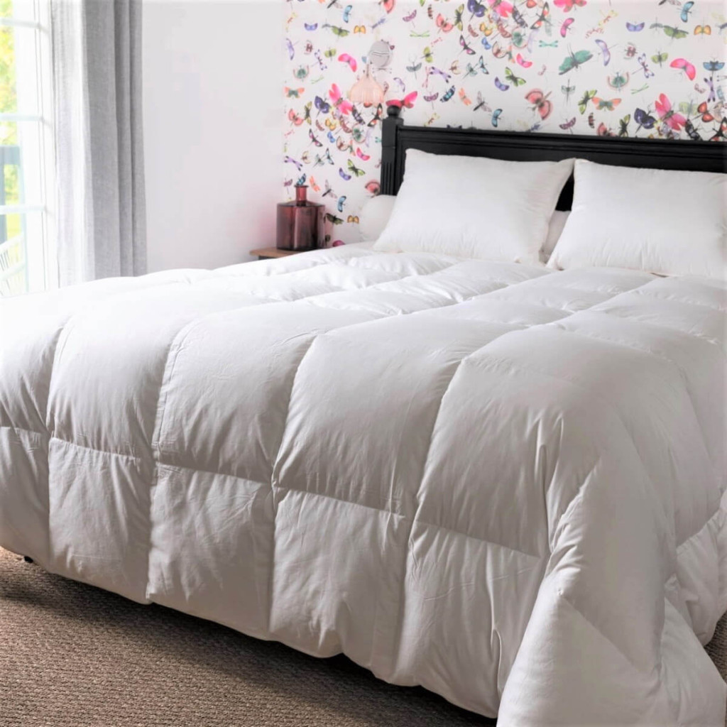 Couette Couple canard duvet