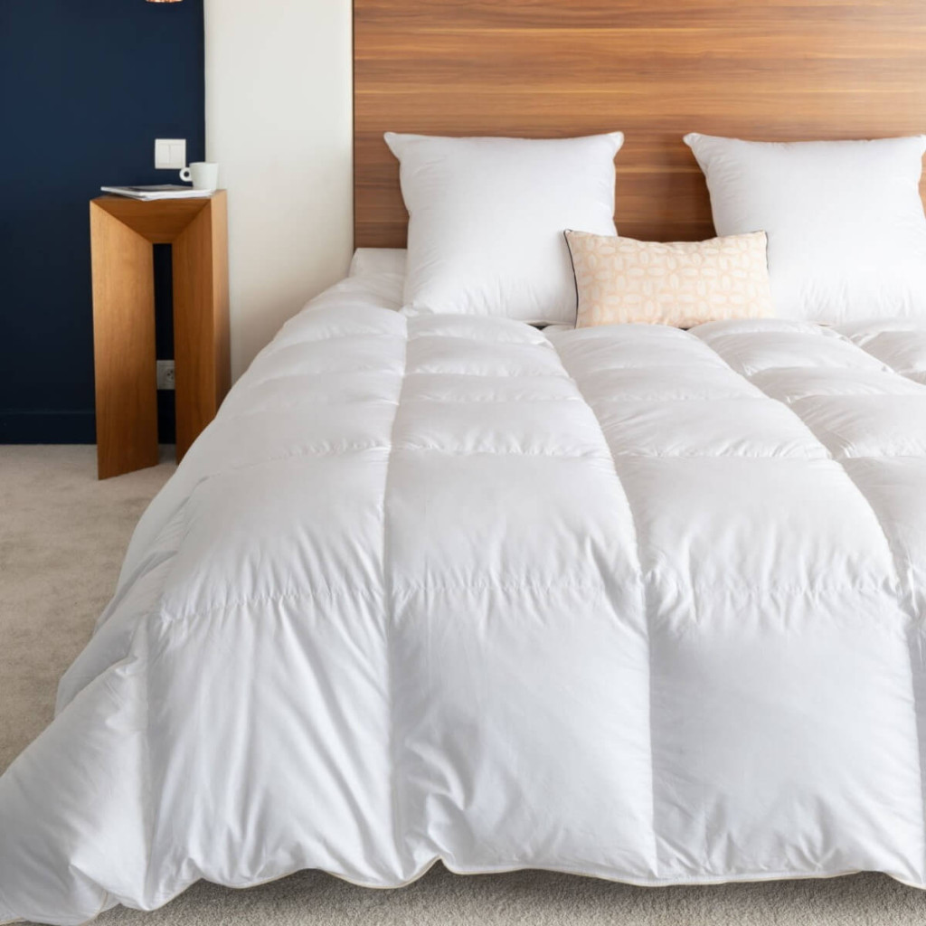Couette king size Hiver canard duvet