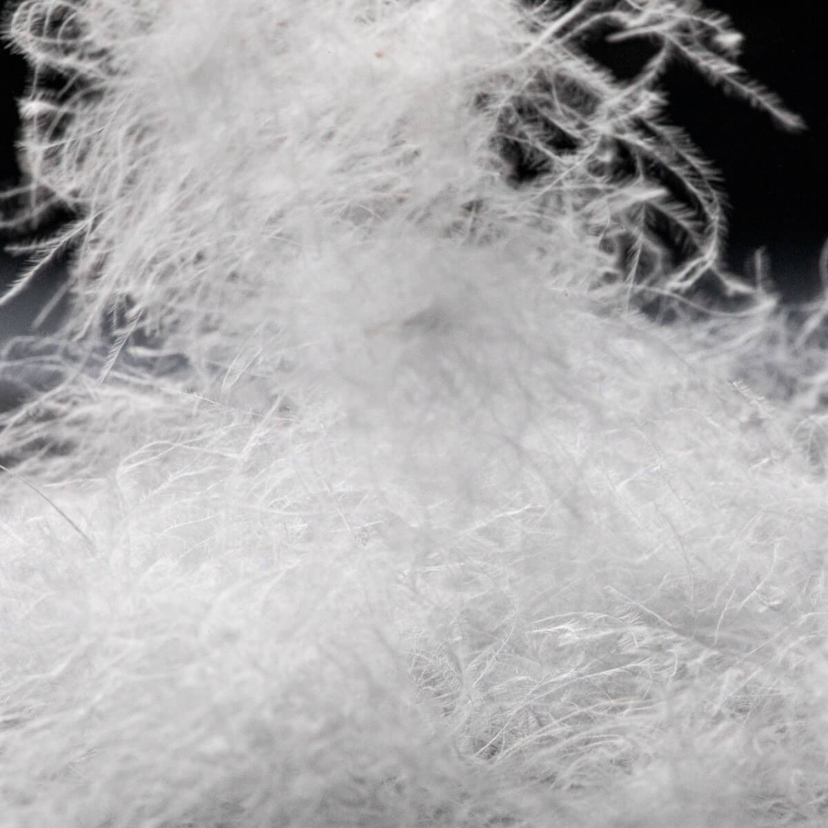 Duvet blanc neuf