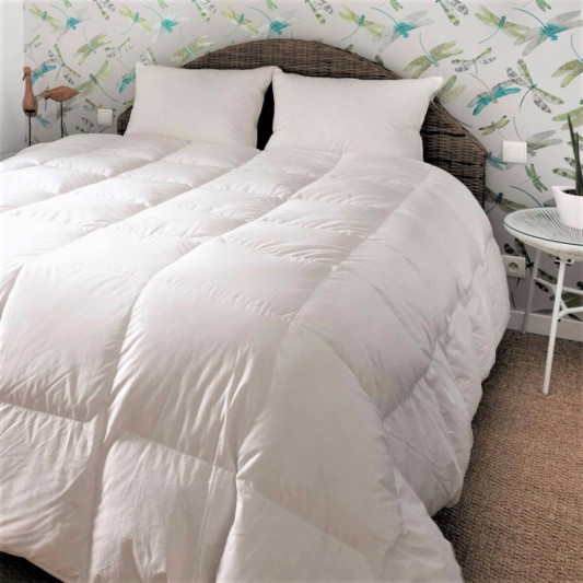 Couette king size Mi-saison canard duvet