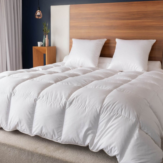 Couette Hiver canard duvet