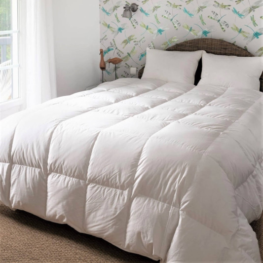 Couette canard Mi-saison duvet