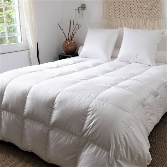 Couette Couple oie duvet