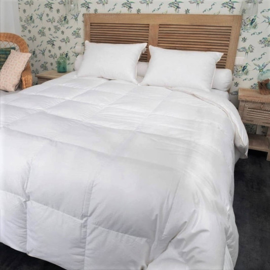 Couette king size Mi-saison oie duvet