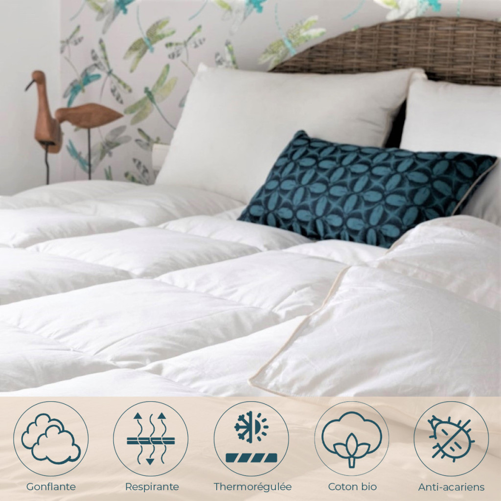 Couette canard Mi-saison duvet avantages