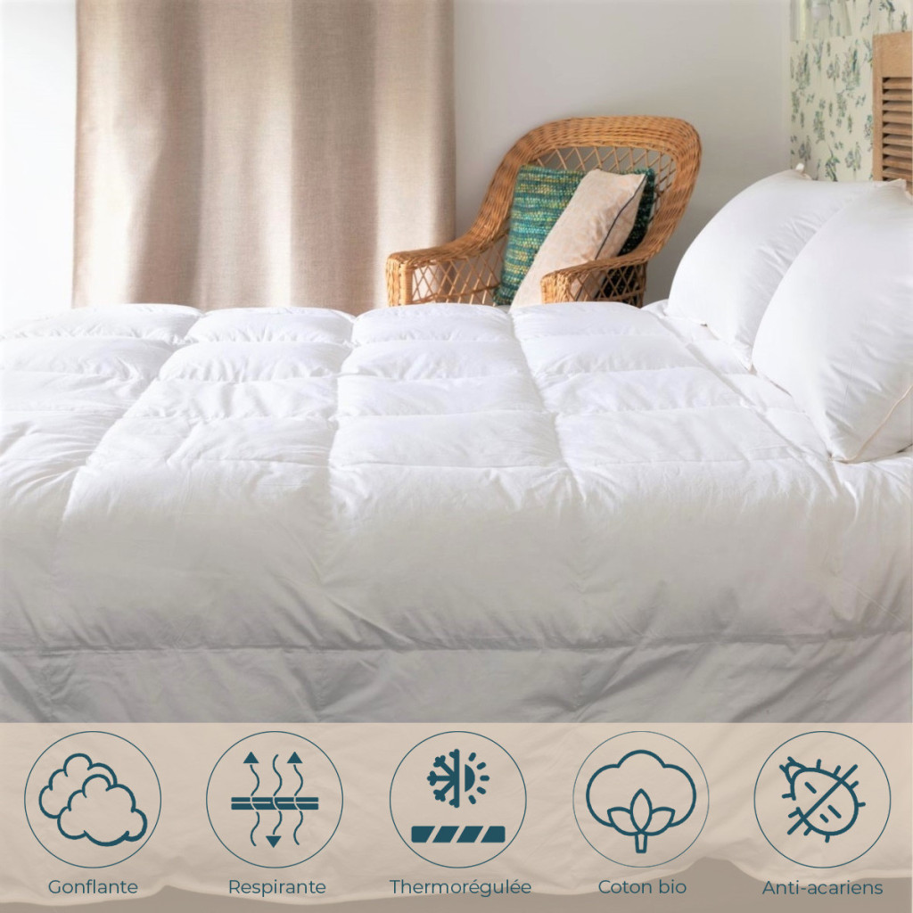 Couette oie Mi-saison duvet avantages