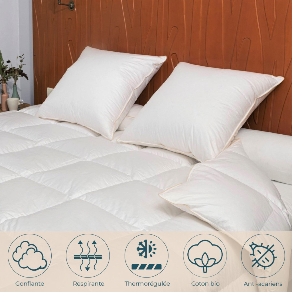 Couette Hiver oie duvet avantages