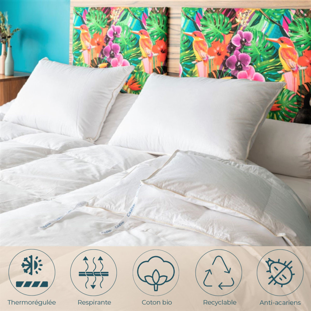 Couette 4 Saisons oie duvet avantages