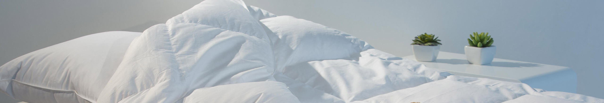Couette Oie en plume et duvet