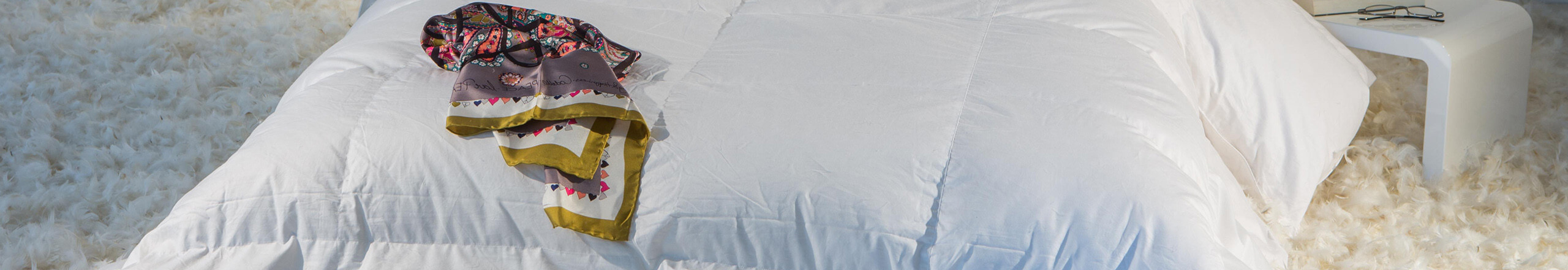 Couette Canard en duvet et plume