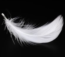 Plume