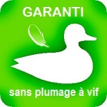 garanti sans plumage à vif