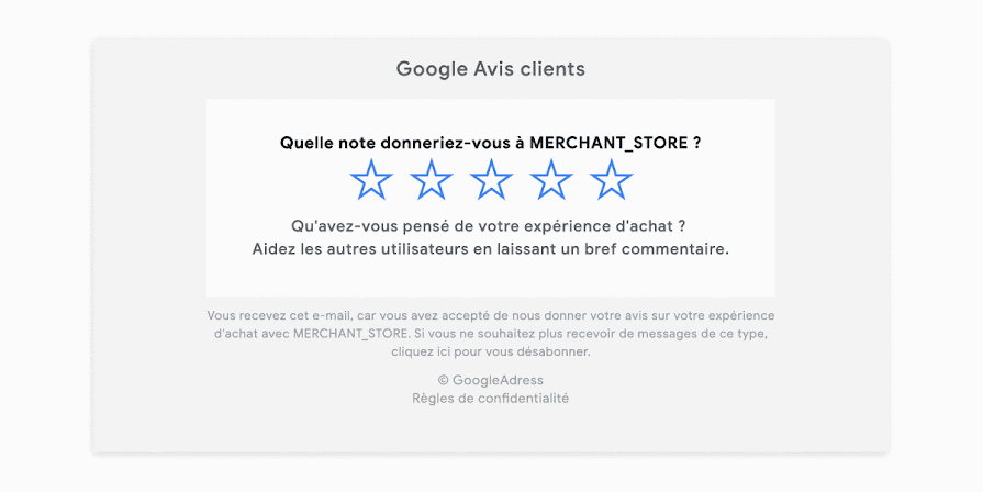 Castex Google Avis Clients