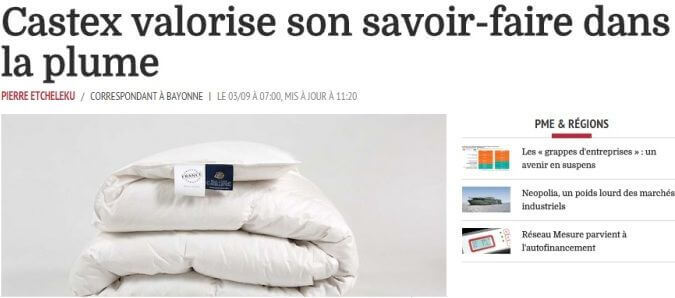 castex les echos