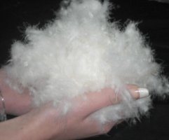 de la plume au duvet