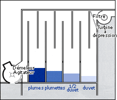 trieuse de plumes