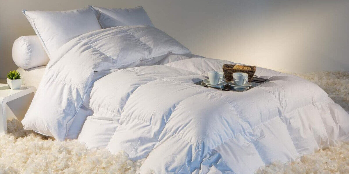Le Blanc d'Hiver tout beau tout chaud