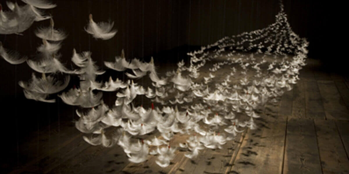 Evénement : expo en plumes d’Isa Barbier à Marseille