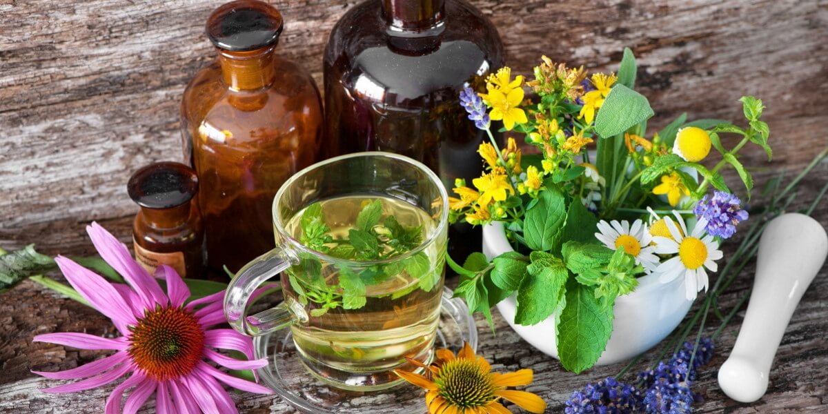 Comment les plantes peuvent nous aider à mieux dormir ?