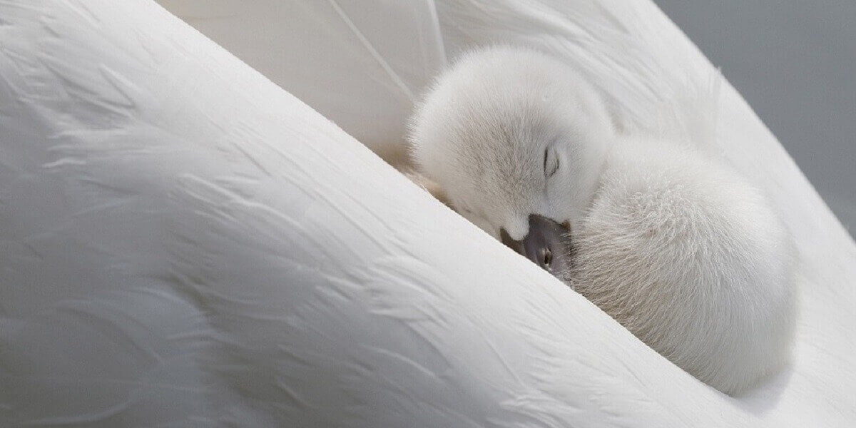 Bienvenue sur le Blog de ceux qui aiment le Lit