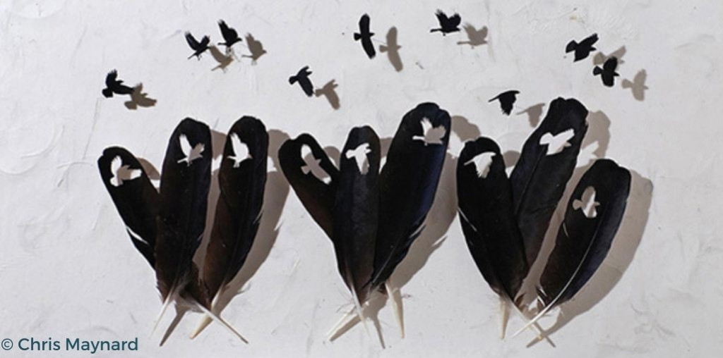 Chris Maynard, ses oeuvres, son art