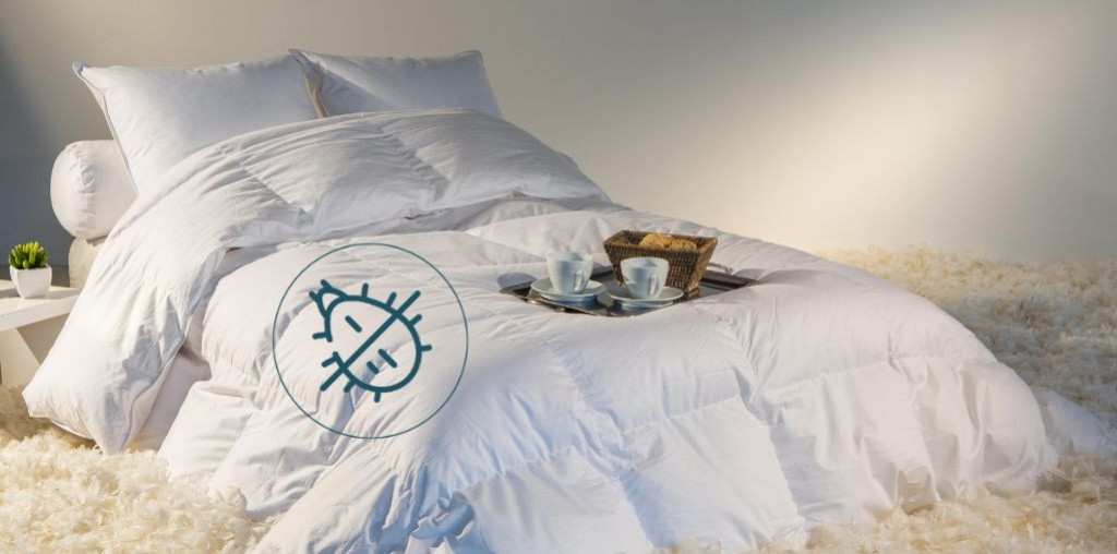 Comment lutter contre les acariens ? 