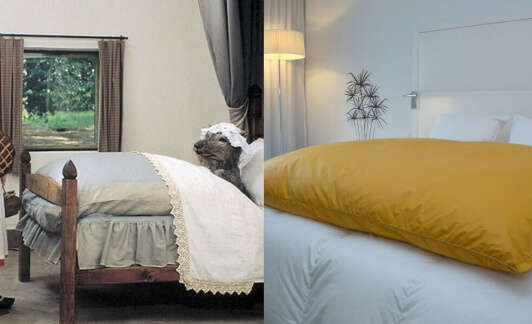 Idées cadeau déco pour un Noël cocooning tout en plume