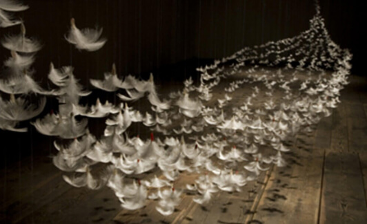 Evénement : expo en plumes d’Isa Barbier à Marseille