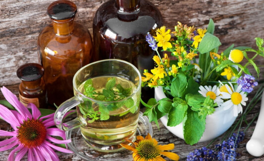 Comment les plantes peuvent nous aider à mieux dormir ?