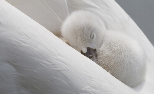 Bienvenue sur le Blog de ceux qui aiment le Lit