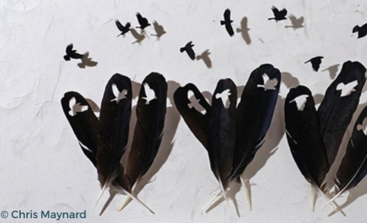 Chris Maynard, ses oeuvres, son art